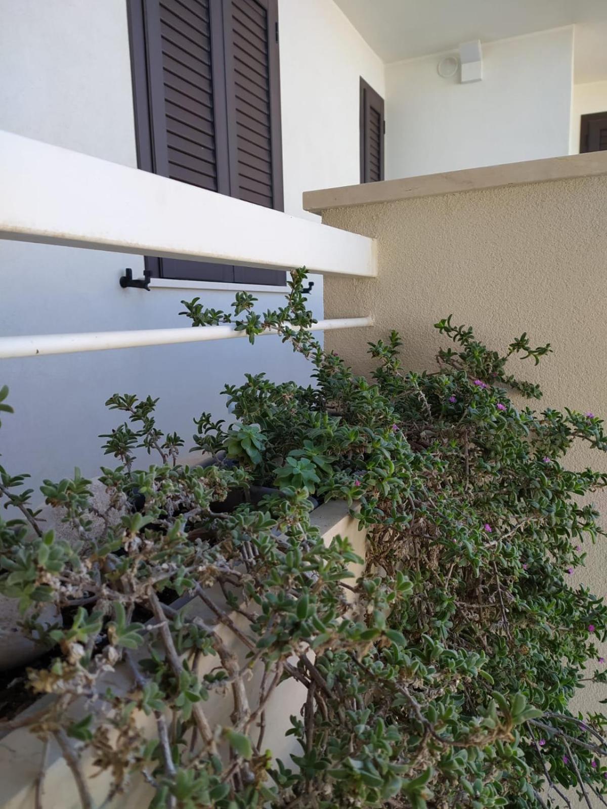 Le Colonie Apartments Porto Cesareo Exteriér fotografie